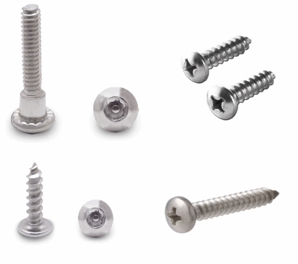 Partitions - Screws / Bolts