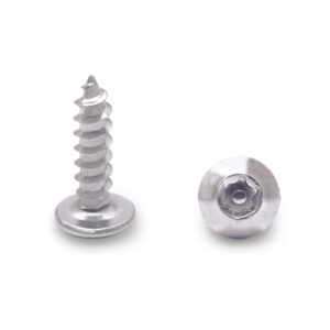 Security Screw